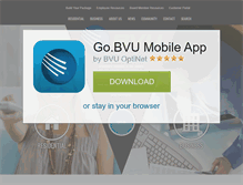 Tablet Screenshot of bvu-optinet.com